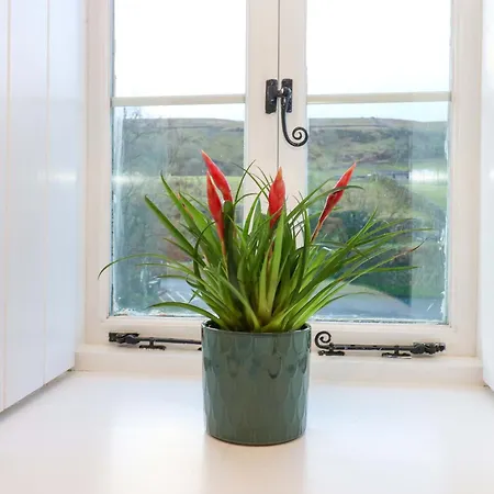 The Old Dairy ريتشموند